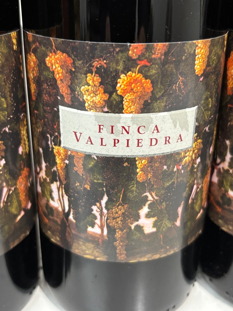 1994 Finca Valpiedra - 里奥哈 Reserva - 6 Bottles (0.75L) #1.0