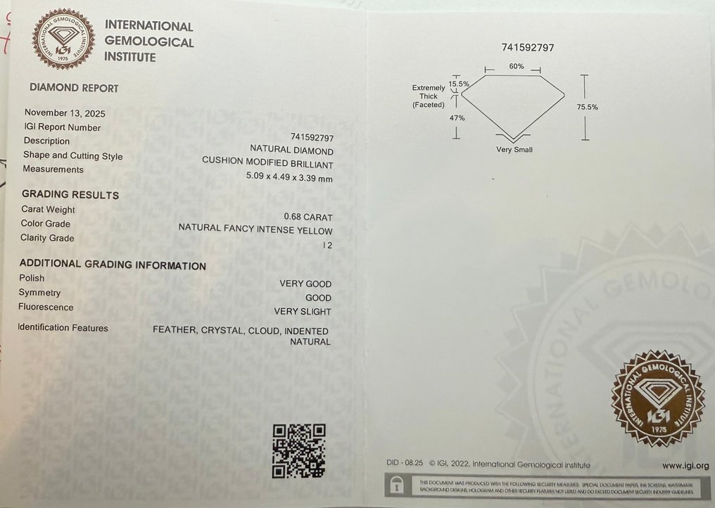 Ingen reservasjonspris - 1 pcs Diamant (Naturfarget) - 0.68 ct - Pute - Fancy intense Gul - I2 - Det internasjonale gemologiske institutt (IGI) #2.1