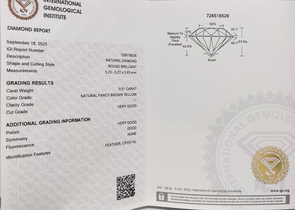 没有保留价 - 1 pcs 钻石  (天然色彩的)  - 0.51 ct - 圆形 - Fancy 棕色 黄色 - I1 内含一级 - 国际宝石研究院（IGI） #4.3