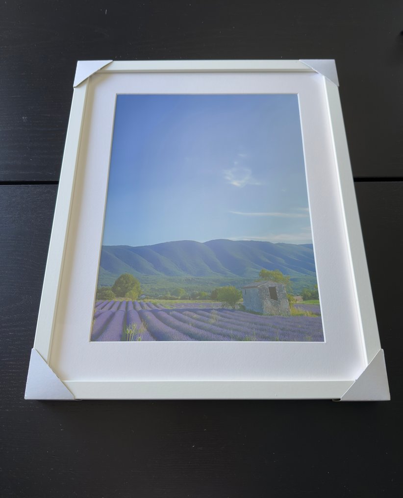 Fabio Accorrà - The colors of Provence #1.0