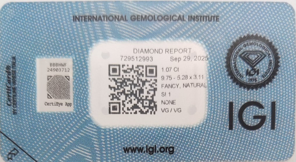 没有保留价 - 1 pcs 钻石  (天然色彩的)  - 1.07 ct - Fancy deep 灰色, 绿色 黄色 - SI1 微内含一级 - 国际宝石研究院（IGI） #2.1