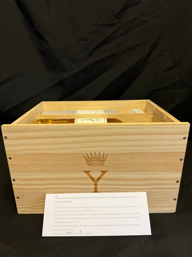 2020 Y d'Yquem - Lur Saluces - Bordeaux - 6 Bottles (0.75L) #1.0
