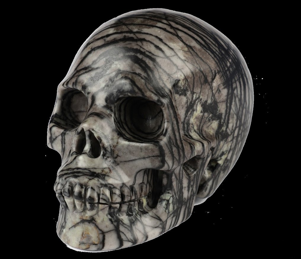 Jasper 450 g 8.90 x 6.40 cm Magic Spidernet Network voodoo WITCHCRAFT Jasper Skull Stone of the High Priest- 450 g #3.2