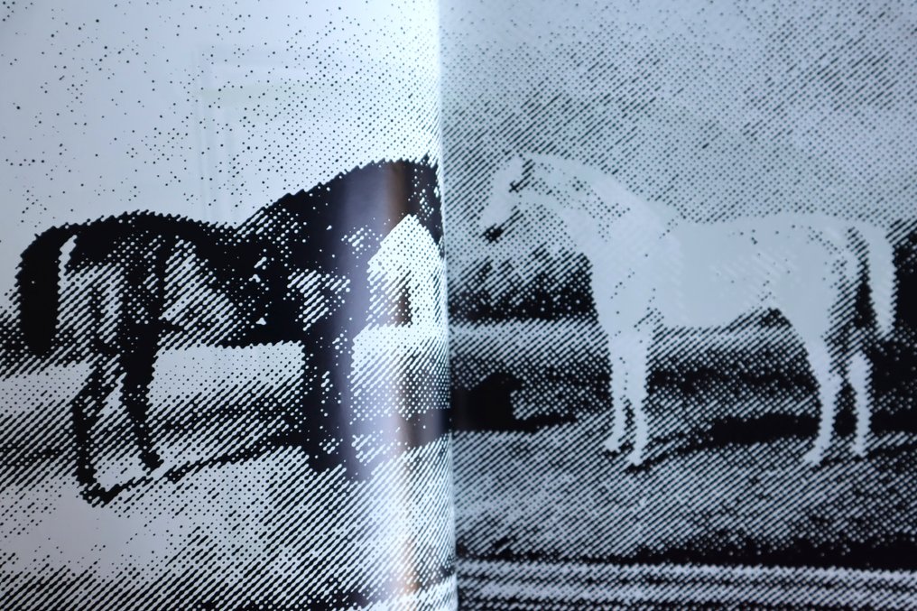 Eman Ali - Succession Oman Photo Ltd. 300 OOP - 2019 #2.1