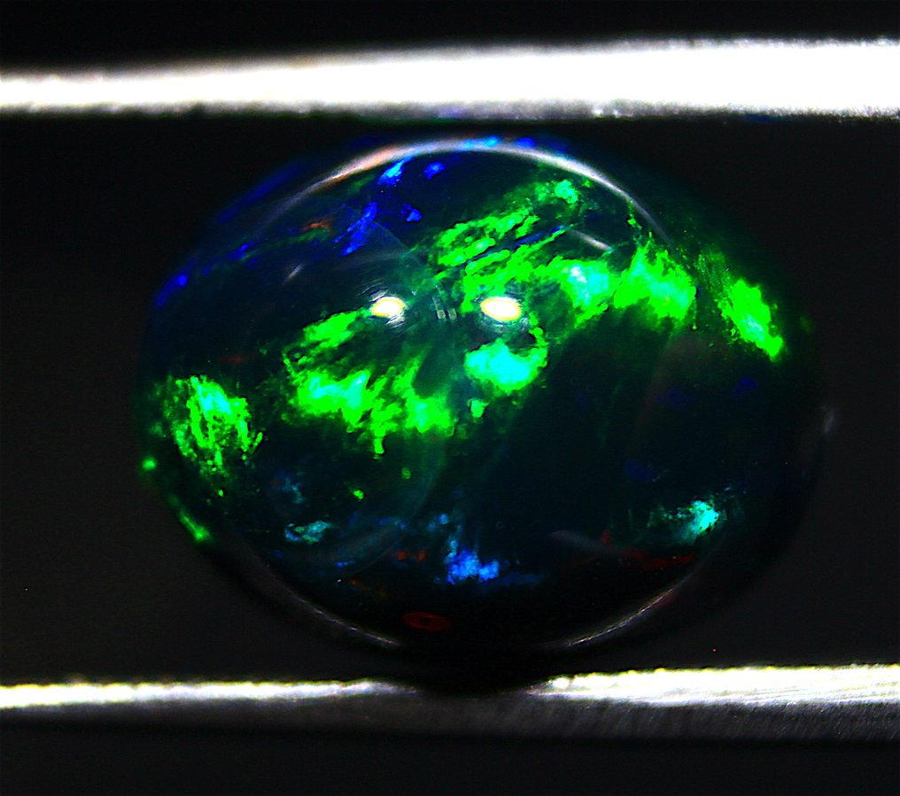 Free shipping on 2.90 carats of natural Ethiopian black opal. Cabochon - Height: 12 mm - Width: 9 mm- 0.58 g #1.0