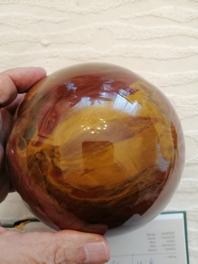Petrified wood Sphere - Height: 137 mm - Width: 137 mm- 3103 g #1.0