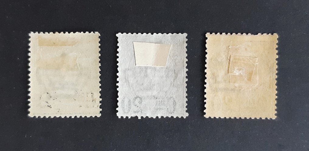 義大利王國 1890/1891 - 邮政包裹，临时的 - SASSONE 50 - 58 #4.3