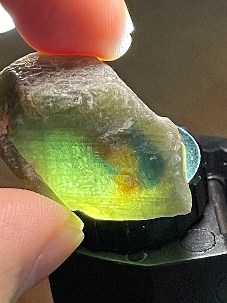 Saphir Atemberaubendes Stück. Seltene Erscheinung: grüner Trapez-Saphir. 98,75 Ct. - Höhe: 24 mm - Breite: 22 mm- 19.75 g #2.1