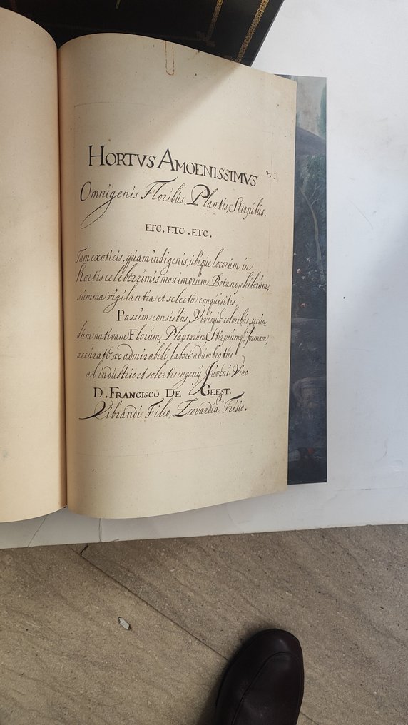 Franciscus de Geest - Hortus Amoenissimus - 2011 #2.1
