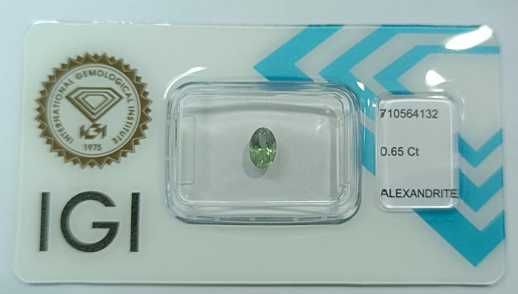 1 pcs  绿色, 紫色 紫翠玉  - 0.65 ct - 国际宝石研究院（IGI） - 全彩变换 #1.0