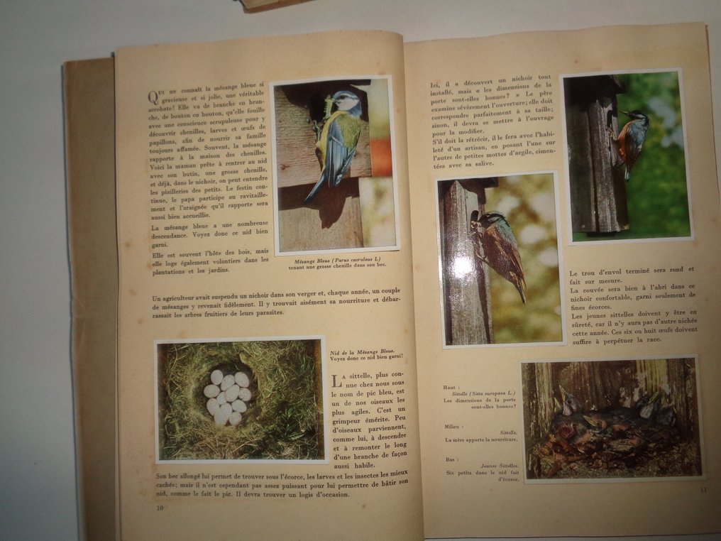 主题收藏系列 - 1296 染色体 Cote d'Or-Jacques-Artis-TinTin-60年代至70年代的历史 #4.3