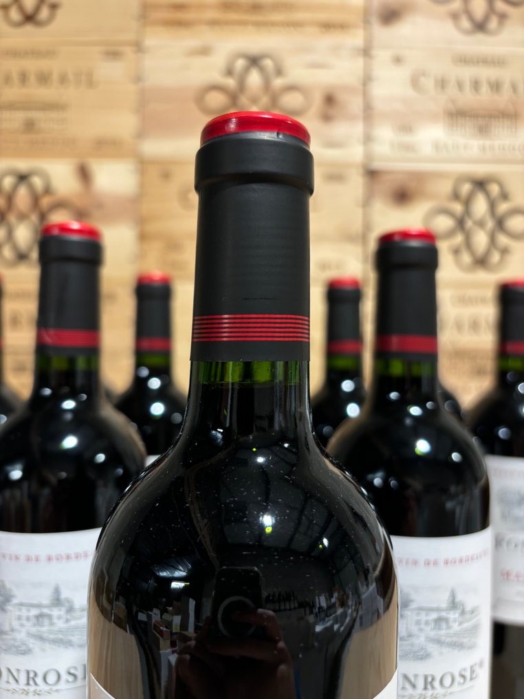 2023 Château Fonrose - Margaux Grand Cru - 6 Pullot (0.7 L) #4.3