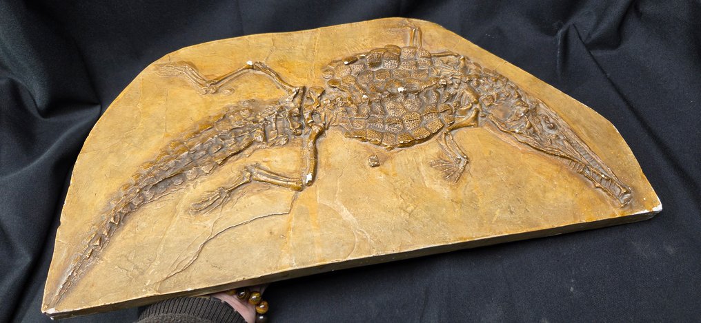 Curiosity Cabinet -Original reproduction of a 168-million-year-old crocodilian (Crocodileimus  - Diorama #4.3