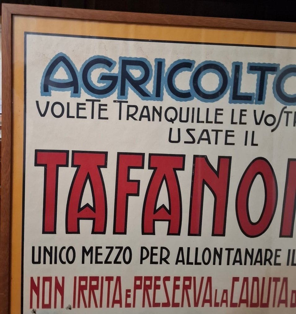 V.Cajani - TAFANOIDE - 1920s #4.3