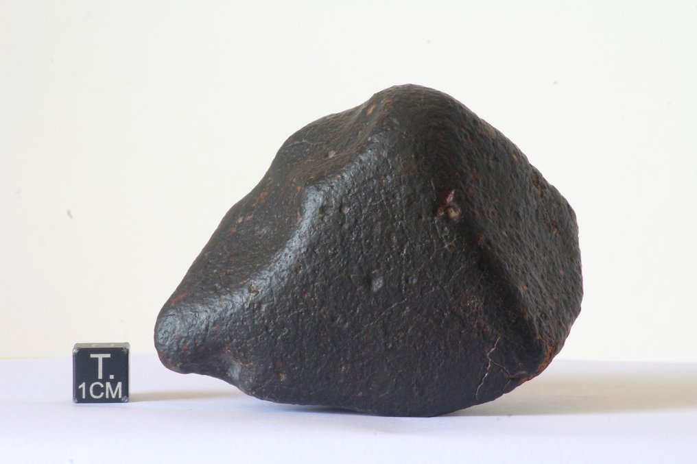 Ωραία αταξινόμητη κοινή χονδρίτης με regmalyt. Μετεωρίτης χονδρίτης - 243 g - (1) #1.0