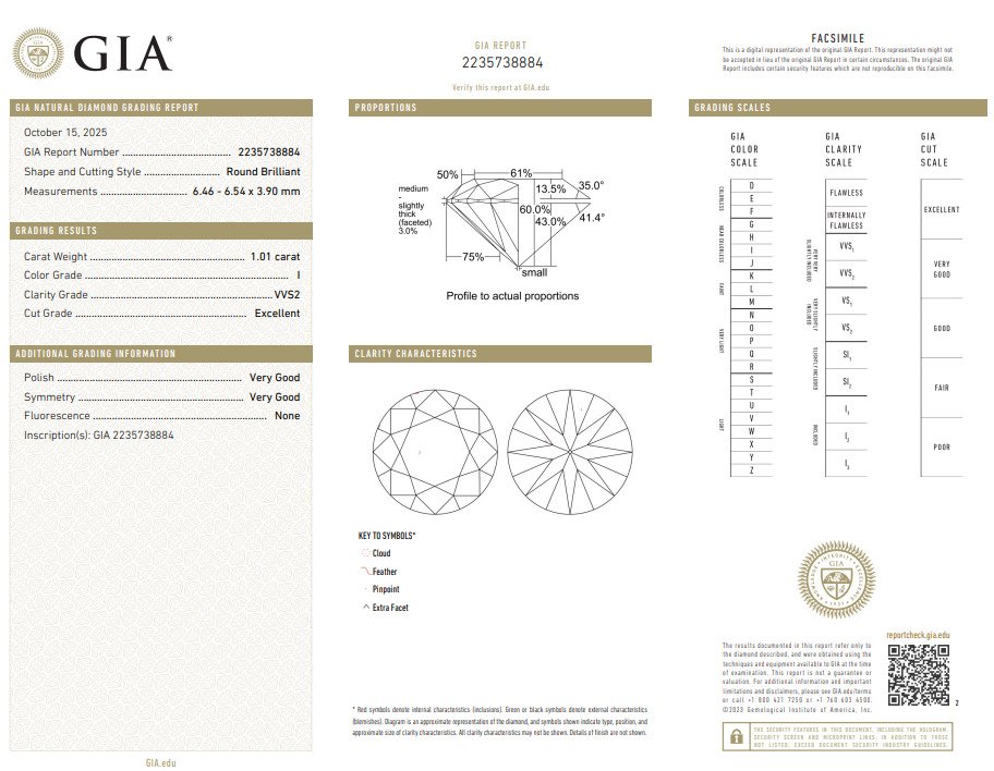 1 pcs Diamond  (Natural)  - 1.01 ct - Round - I - VVS2 - Gemological Institute of America (GIA) #2.1