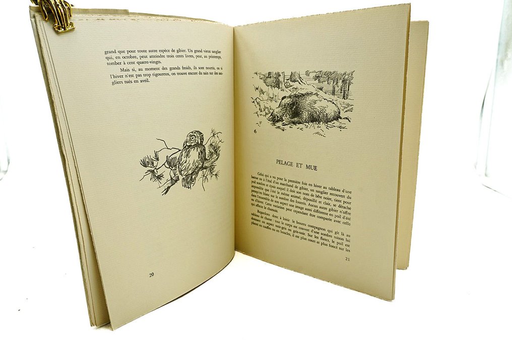 Karl Snethlage / Charles Hallo - Le Sanglier - 1954 #2.1