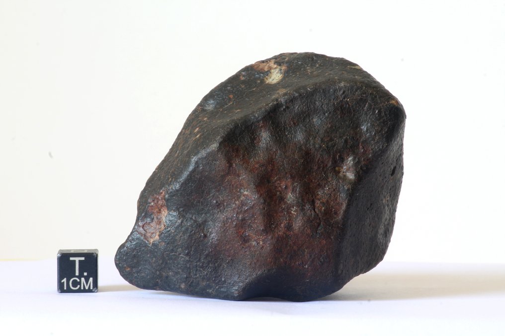 Ωραία αταξινόμητη κοινή χονδρίτης με regmalyt. Μετεωρίτης χονδρίτης - 243 g - (1) #1.0