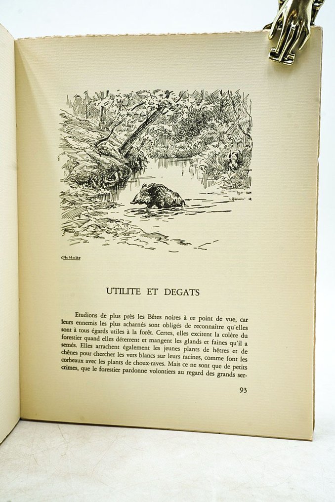 Karl Snethlage / Charles Hallo - Le Sanglier - 1954 #4.3