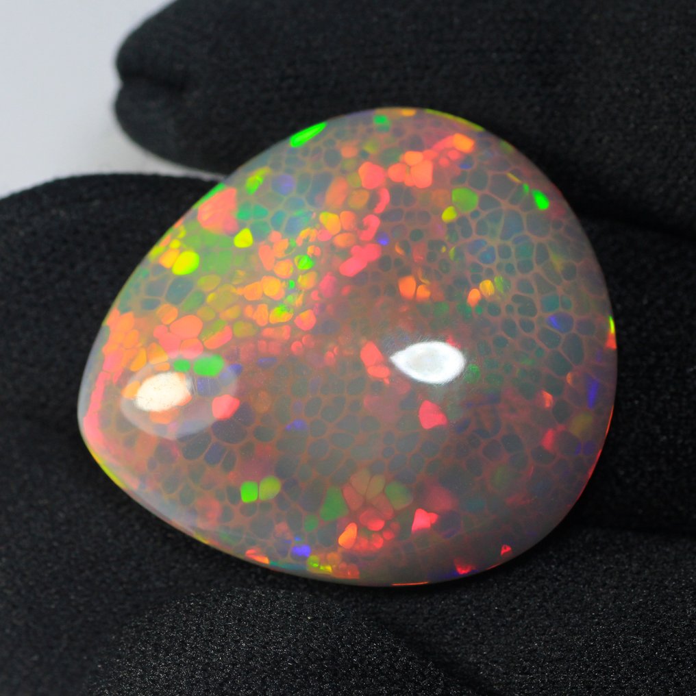 1 pcs  Grey, Red, Green Opal  - 48.34 ct - International Gemological Institute (IGI) - Semi Black Honeycomb Patn #4.3