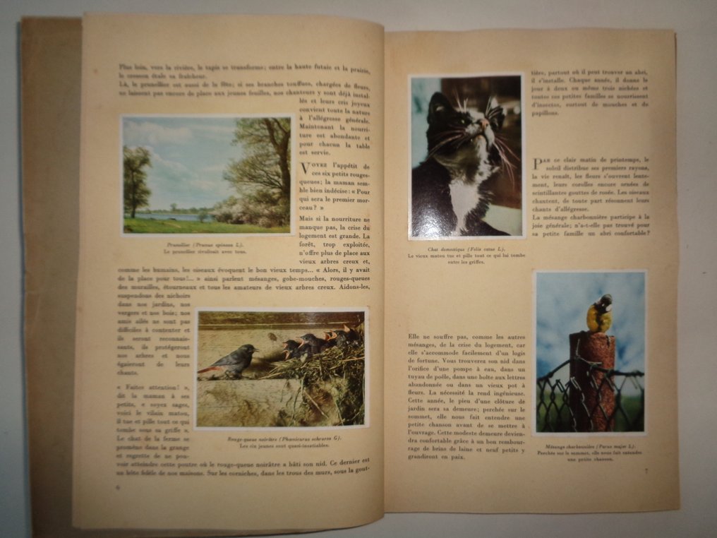 主题收藏系列 - 1296 染色体 Cote d'Or-Jacques-Artis-TinTin-60年代至70年代的历史 #3.2