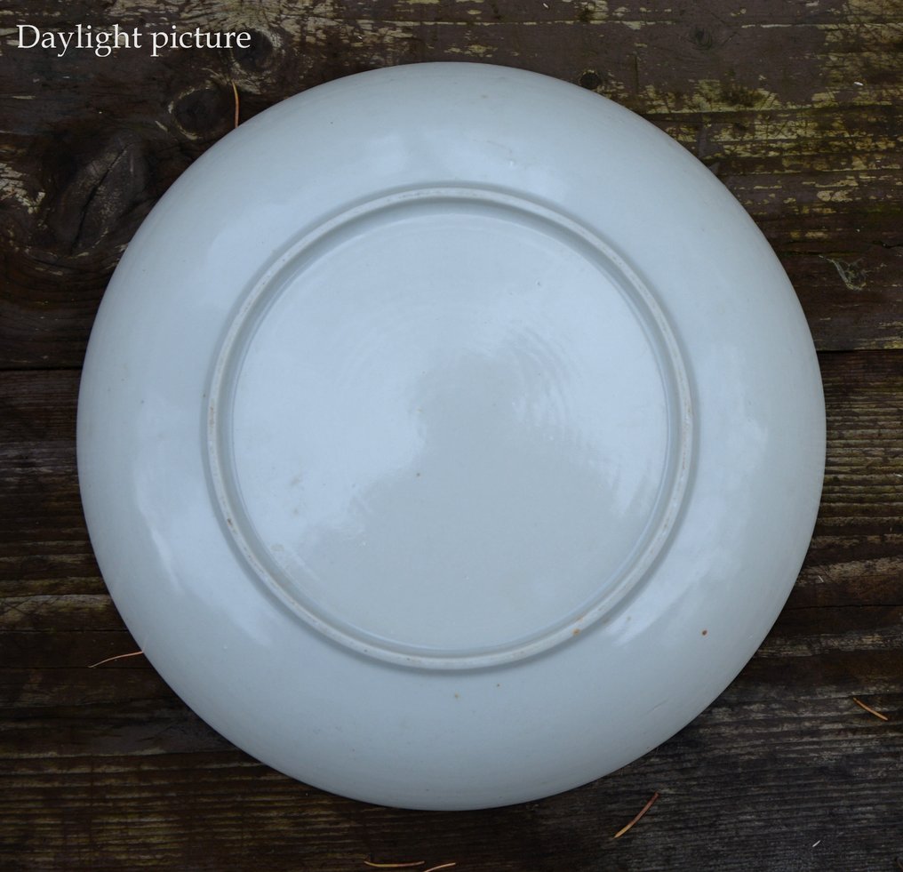 一个大型（24.7厘米直径）中国黑白'Fitzhugh'盘子/碗 - 瓷 - 中国 - 大清，嘉慶时期（1796-1820），18世纪后期 #3.2