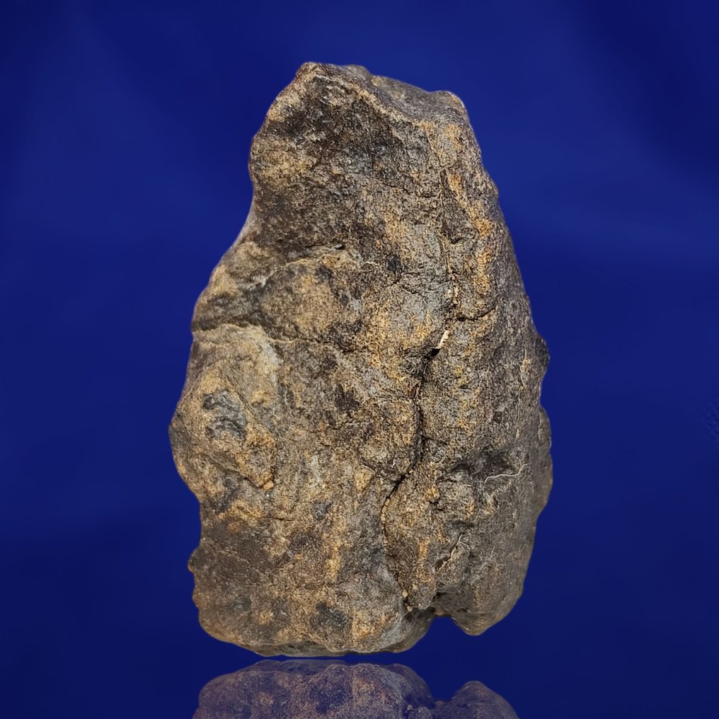 Χονδρίτης ENSTATITE!!! Προερχόμενο από την τροχιά του ΕΡΜΗ! Μετεωρίτης Al Haggounia 001, "EL4-7". - 59.5 g #1.0