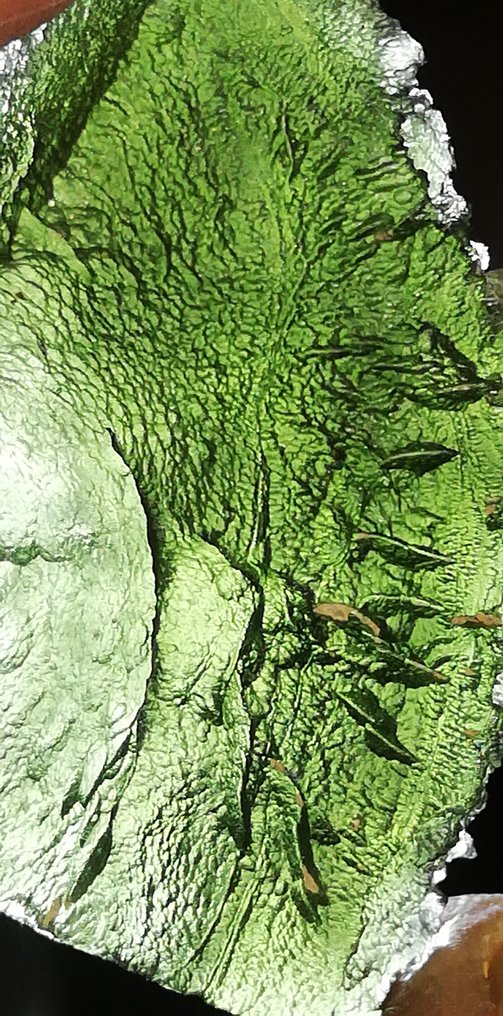 Moldavite Krasejovka - 8.72 g #1.0