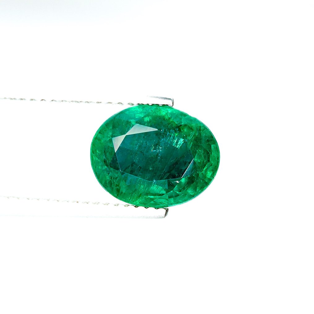 祖母绿  - 3.98 ct - 国际宝石研究院（IGI） #1.0