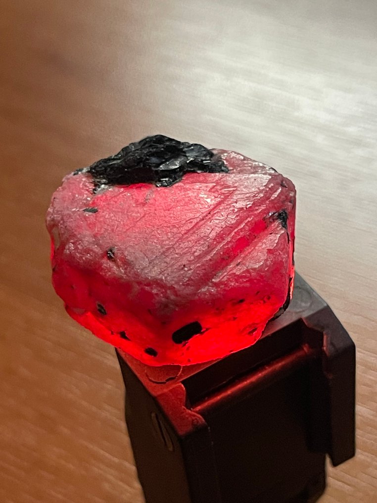 Ruby 真正的宝石！令人惊叹的192克拉莫桑比克巨大血红宝石，壮丽的水晶，天然，百分百特别。 - 高度: 35 mm - 闊度: 30 mm- 38.5 g #1.0