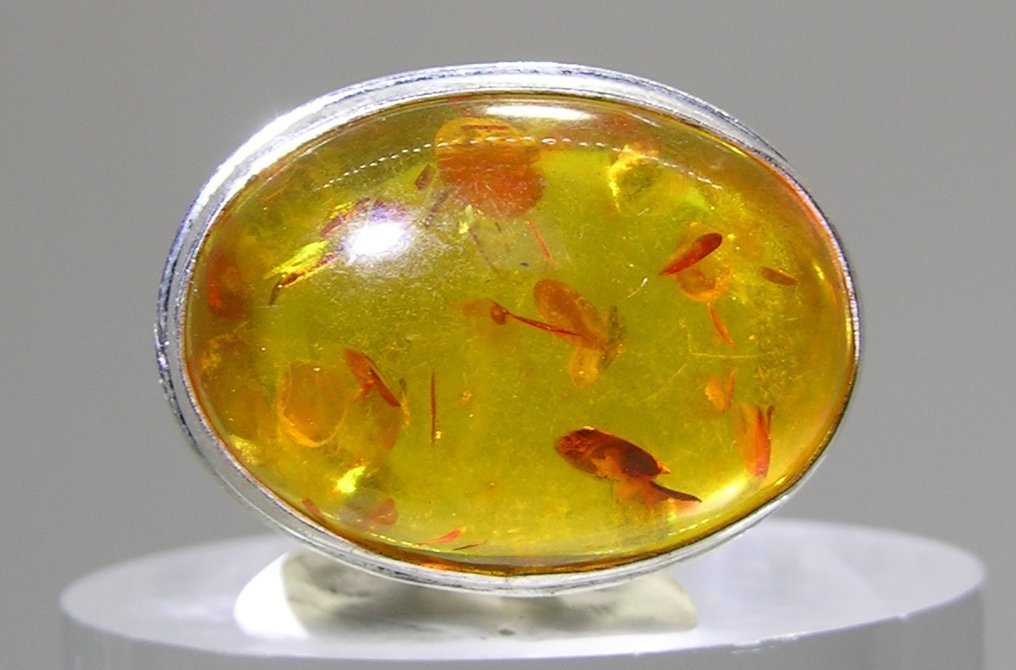 Amber Ring - Height: 30 mm - Width: 25 mm- 7 g - (1) #3.2