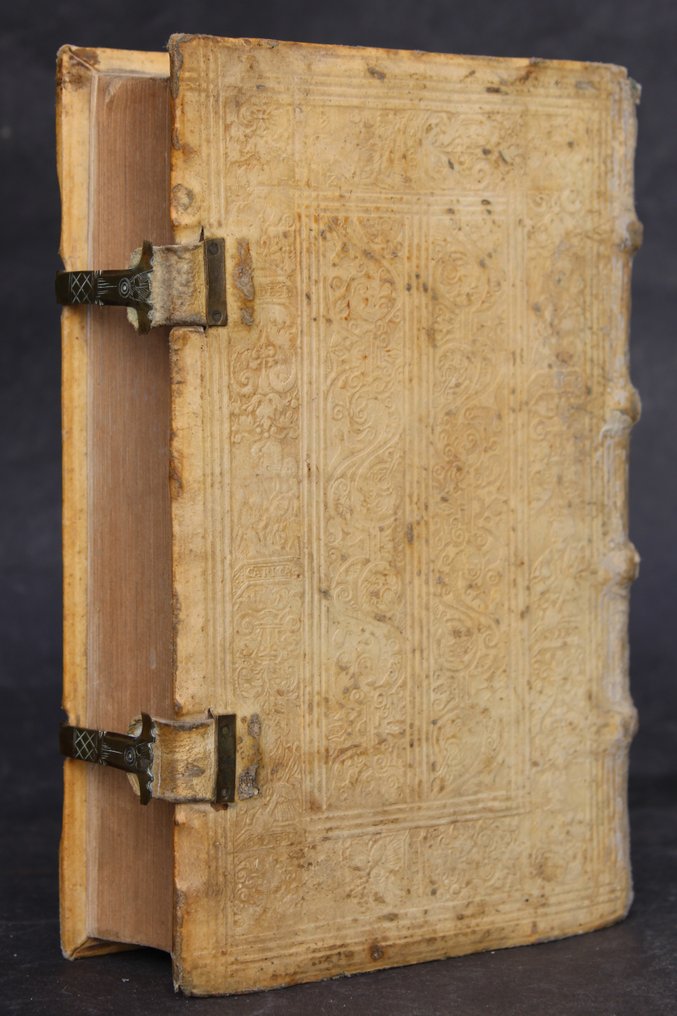 M. T. Cicero - M. T. Cicero. Tusculanarum quaestionum aphorismi, hoc est, separatae selectae q(ue) sentantiae - 1580 #1.0