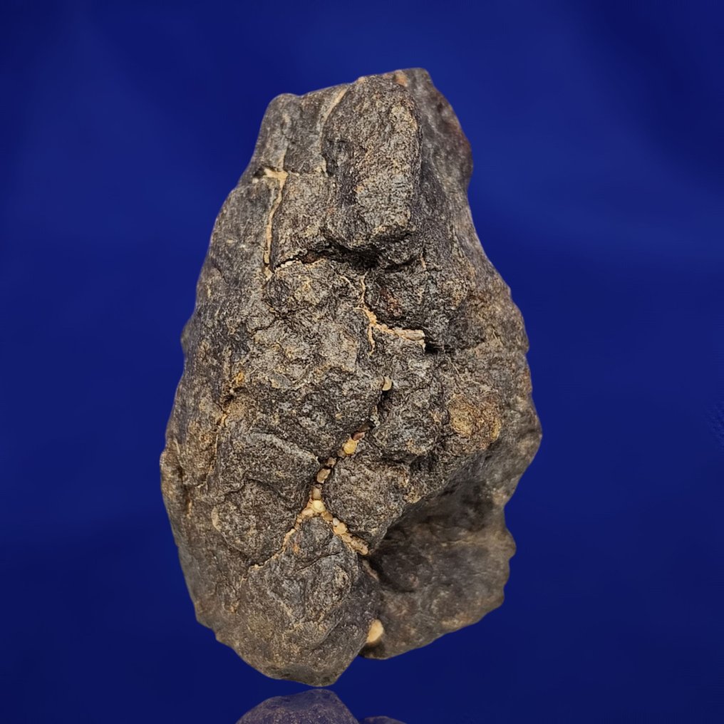 Χονδρίτης ENSTATITE!!! Προερχόμενο από την τροχιά του ΕΡΜΗ! Μετεωρίτης Al Haggounia 001, "EL4-7". - 59.5 g #2.1