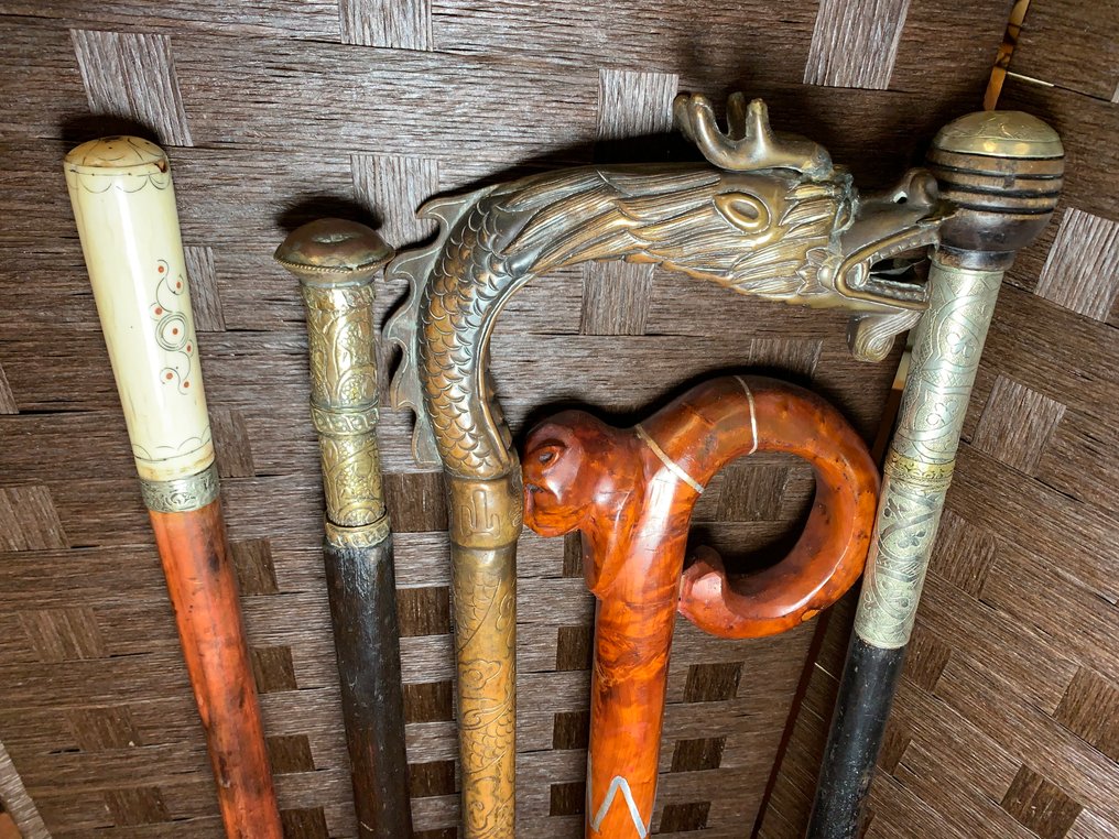 Rare Collection of Walking Sticks from around the World Μπαστούνι (5) - Μηχανοκίνητα ράβδοι επίδειξης, μπαστούνια κυρίων, περπατητήρια - Βούρδου, Οστό, Έβενος, Ασήμι, Μπράτς, Χαλκός, Ξύλο σκληρό - Περπάτημα & Ράβδοι Στυλ #1.0