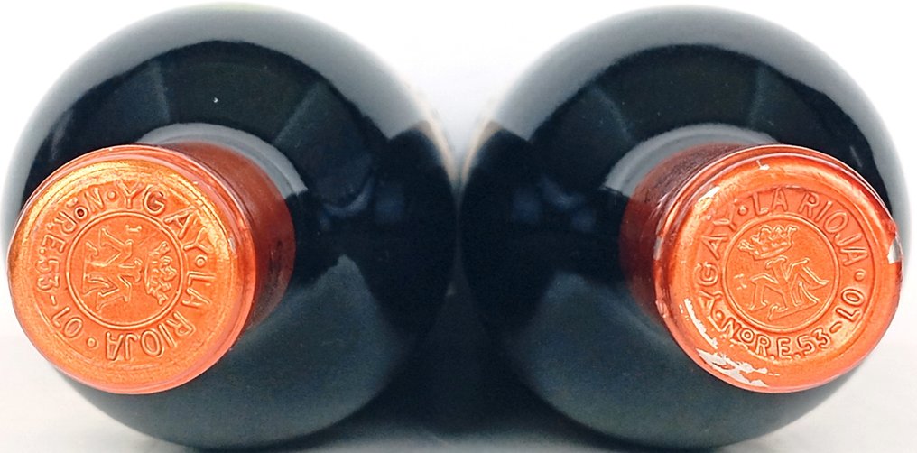 1995 & 1997 Marqués de Murrieta, Ygay - Rioja Reserva, Crianza - 2 Flaschen (0,75 l) #4.3