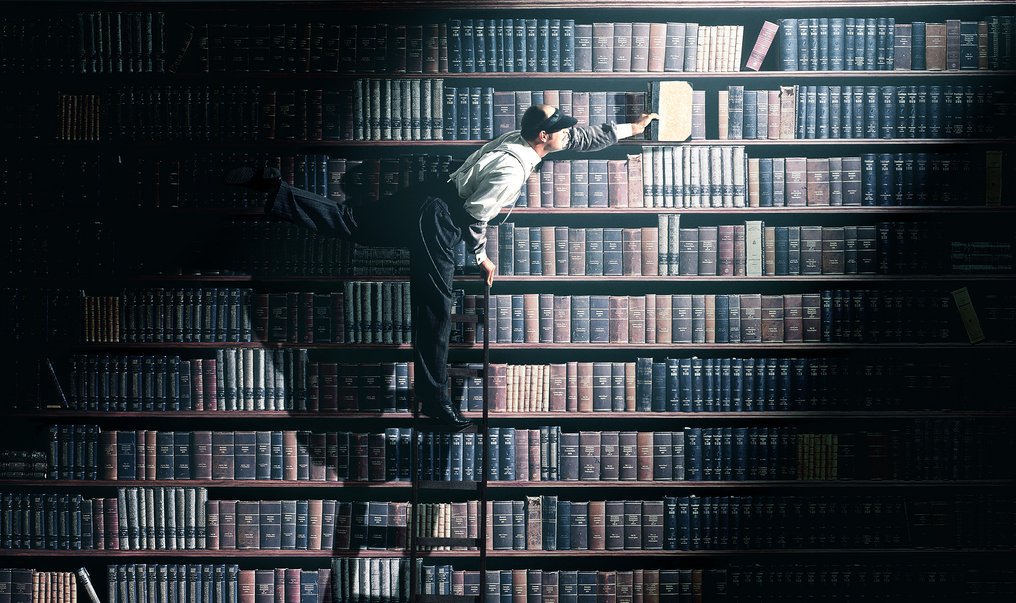 Carsten Sander - Der Bibliothekar #1.0