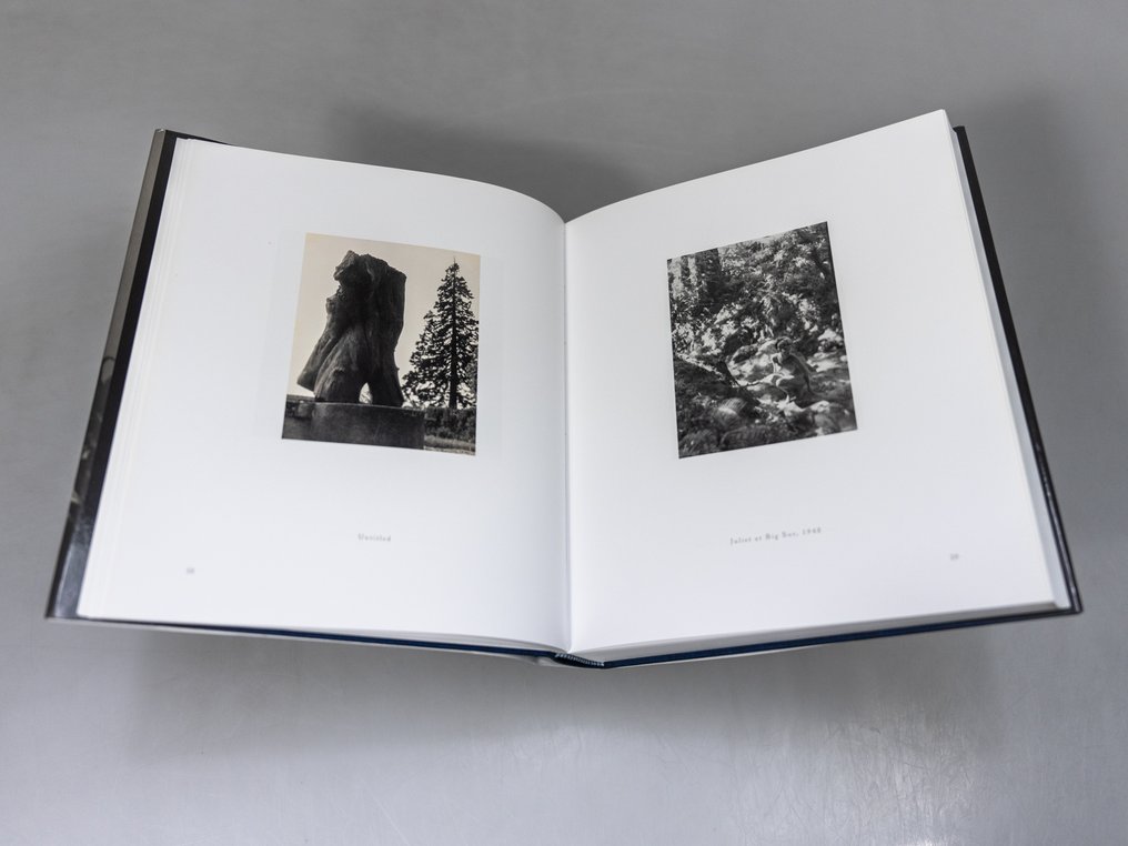 Man Ray - Trees + Flowers - Insects Animals - 2009 #4.3