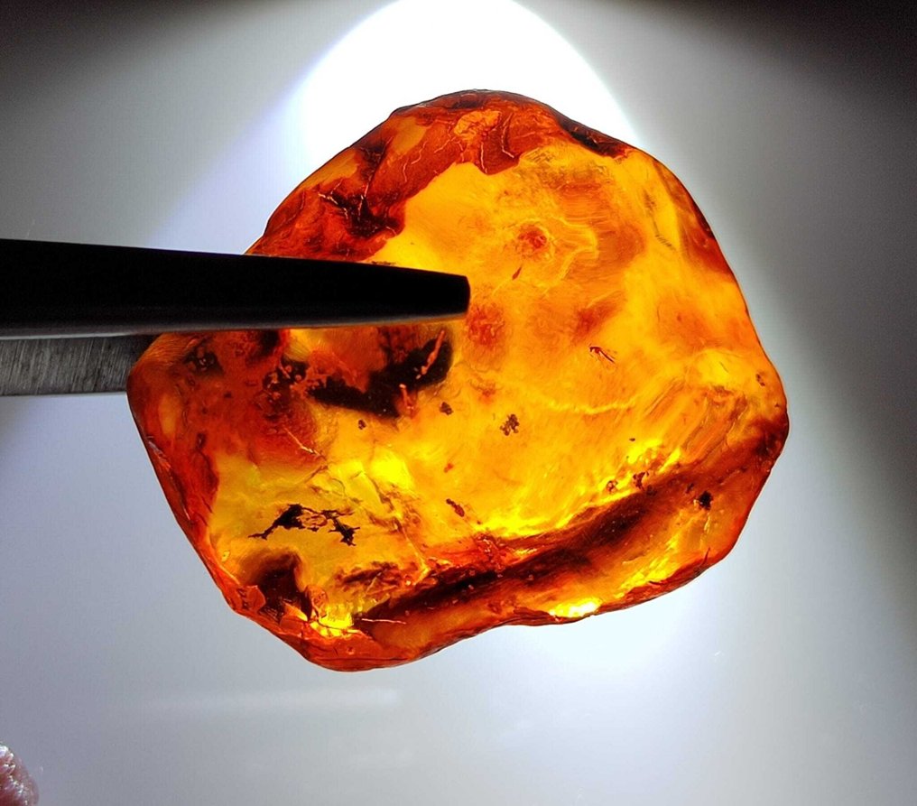 红宝石-祖母绿-红珊瑚-坦桑石天然未加工-250克拉- 50 g #4.3