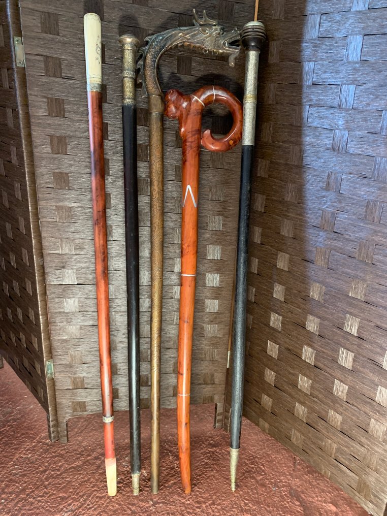 Rare Collection of Walking Sticks from around the World Μπαστούνι (5) - Μηχανοκίνητα ράβδοι επίδειξης, μπαστούνια κυρίων, περπατητήρια - Βούρδου, Οστό, Έβενος, Ασήμι, Μπράτς, Χαλκός, Ξύλο σκληρό - Περπάτημα & Ράβδοι Στυλ #3.2