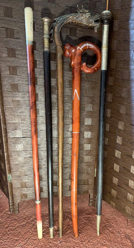 Rare Collection of Walking Sticks from around the World Μπαστούνι (5) - Μηχανοκίνητα ράβδοι επίδειξης, μπαστούνια κυρίων, περπατητήρια - Βούρδου, Οστό, Έβενος, Ασήμι, Μπράτς, Χαλκός, Ξύλο σκληρό - Περπάτημα & Ράβδοι Στυλ #2.1