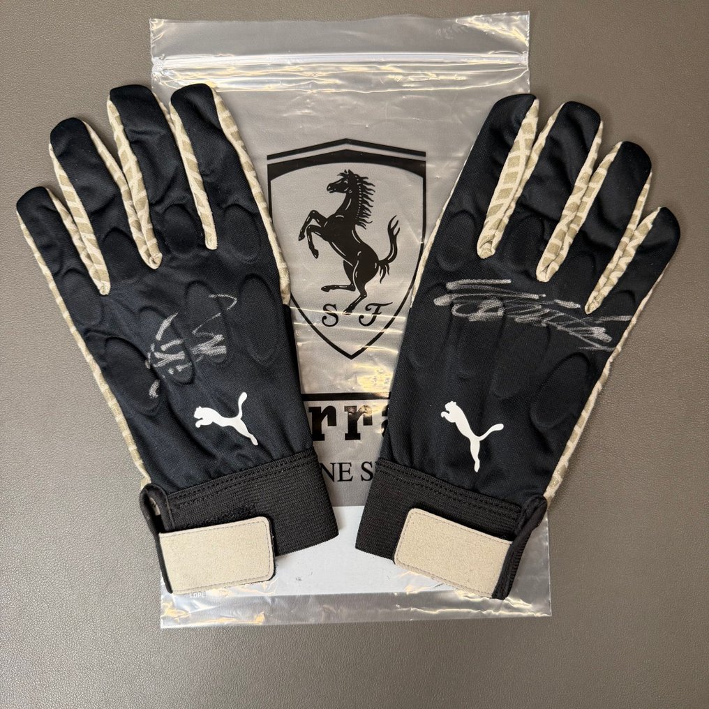 Ferrari - Formula One - Lewis Hamilton - Charles Leclerc - 2025 - Pitcrew gloves #1.0