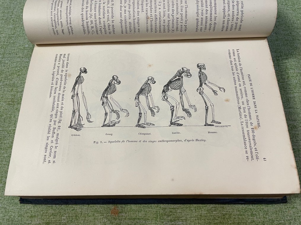 H. Beaunis - PH. C. Sappey - Nouveaux Elements de Phisiologie Humaine - Traite' d’Anatomie Descriptive - 1876 #3.2