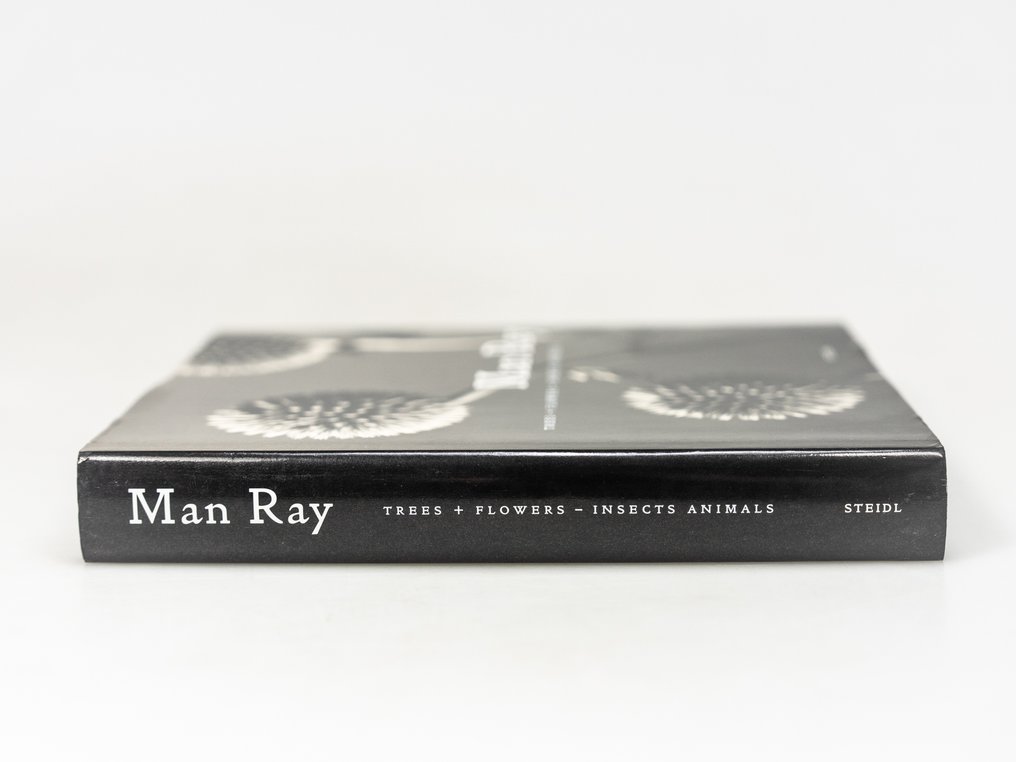 Man Ray - Trees + Flowers - Insects Animals - 2009 #1.0