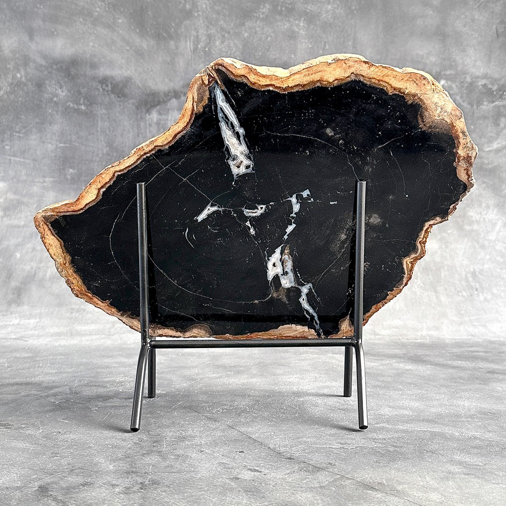 Stunning Slice of Petrified Wood on a custom stand - Fossilised wood - 31.2 cm - 39.5 cm (No Reserve Price) #1.0