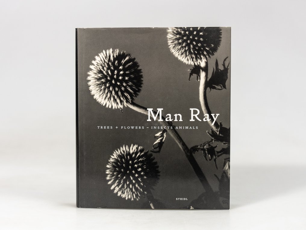 Man Ray - Trees + Flowers - Insects Animals - 2009 #1.0