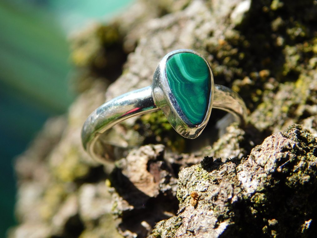 925-ös ezüst gyűrű kiváló minőségű malachitával.- 3.9 g - (1) #2.1