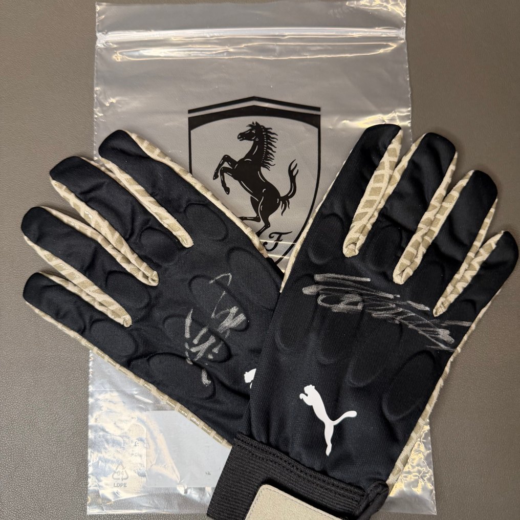 Ferrari - Formula One - Lewis Hamilton - Charles Leclerc - 2025 - Pitcrew gloves #4.3