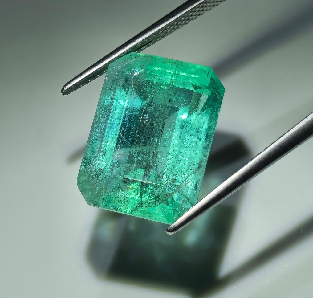 1 pcs Zöld Smaragd - 11.65 ct - Nemzetközi Gemmológiai Intézet (IGI) #3.2