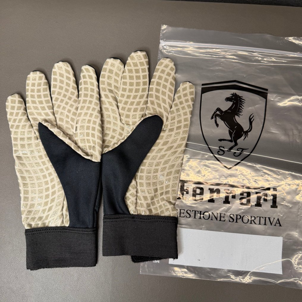 Ferrari - Formula One - Lewis Hamilton - Charles Leclerc - 2025 - Pitcrew gloves #1.0