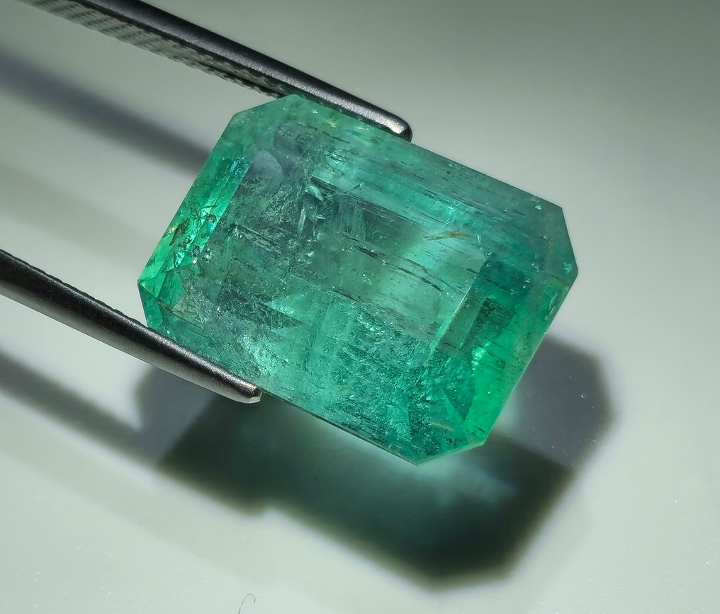 1 pcs Zöld Smaragd - 11.65 ct - Nemzetközi Gemmológiai Intézet (IGI) #1.0